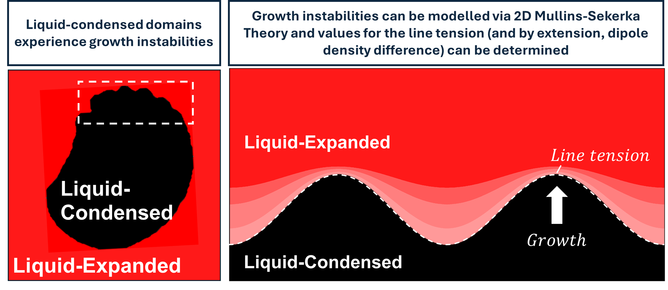 Mullins-Sekerka Growth